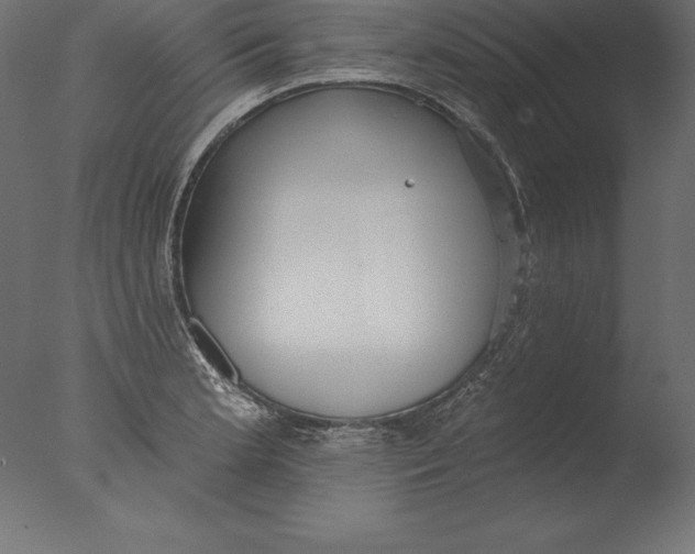 X0000076341181200610201723