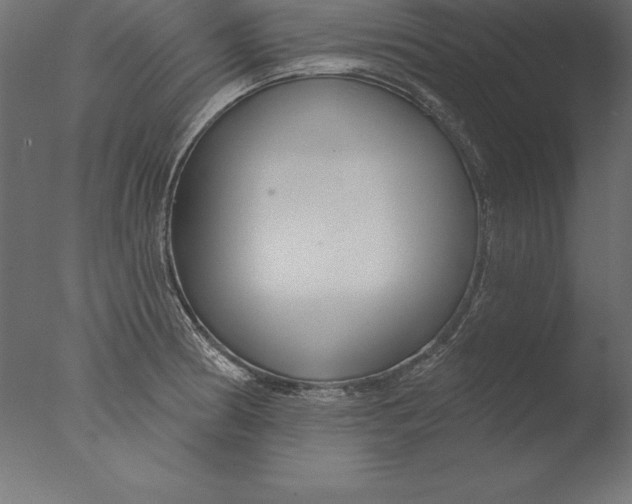 X0000076341186200610201723