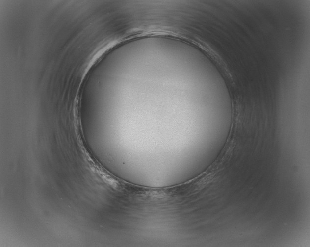 X0000076341190200610201723