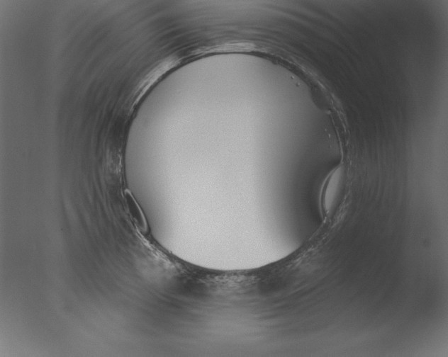 X0000076341193200610201723