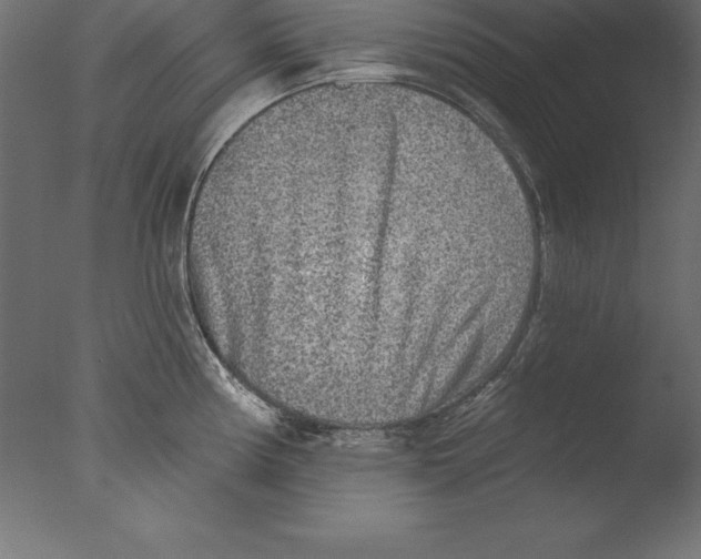 X0000076341194200610201723