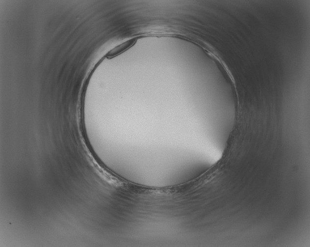 X0000076341195200610201723