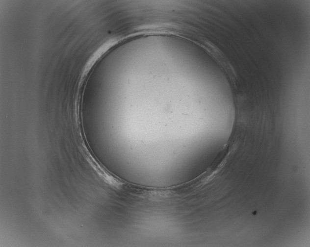 X0000076341196200610201722