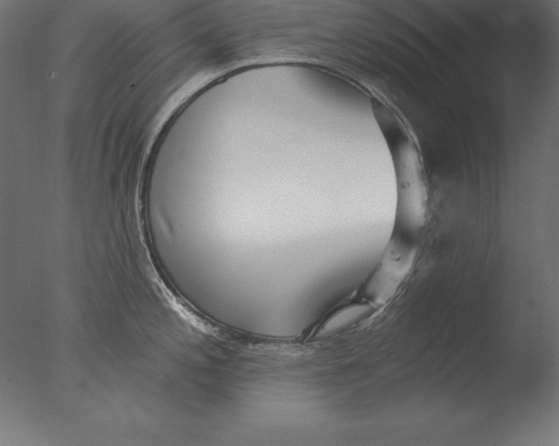 X0000076341197200610201722