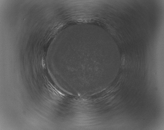X0000076341202200610201722
