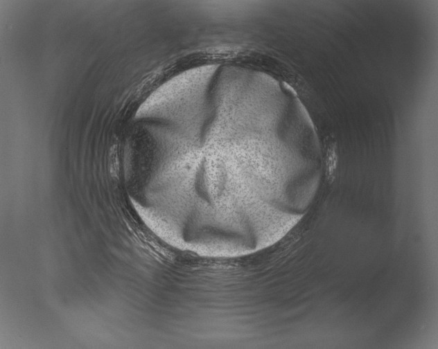 X0000076341204200610201722