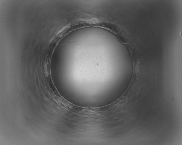 X0000076341205200610201722