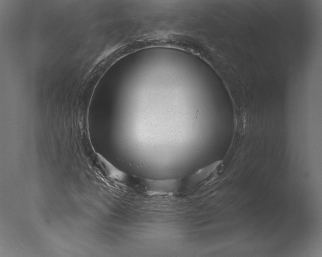 X0000076341206200610201722