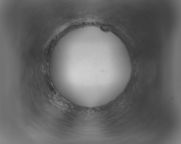 X0000076341207200610201722