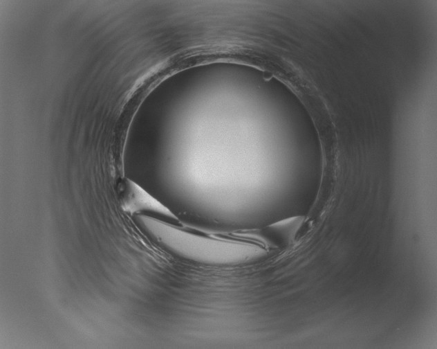 X0000076341210200610201722