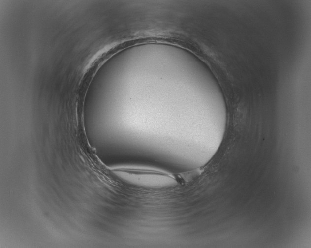 X0000076341214200610201722