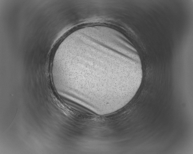X0000076341216200610201722