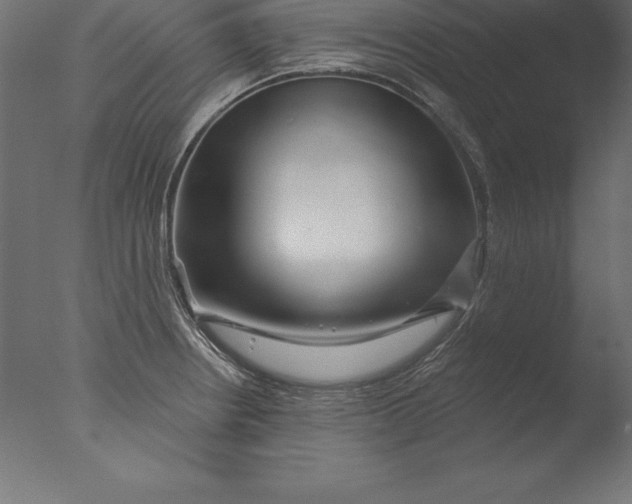 X0000076341234200610201722
