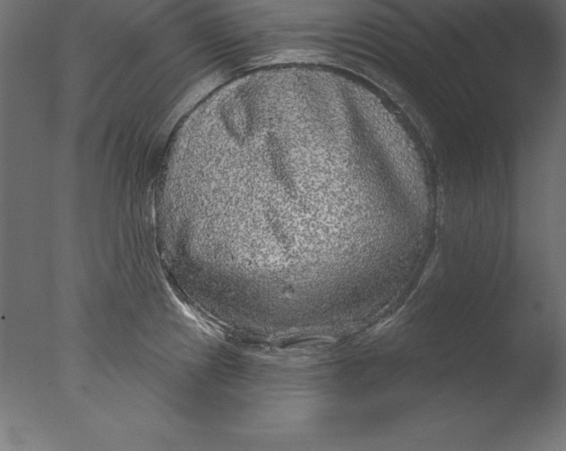 X0000076341241200610201722