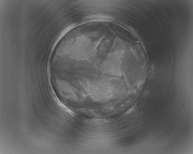 X0000076341243200610201722