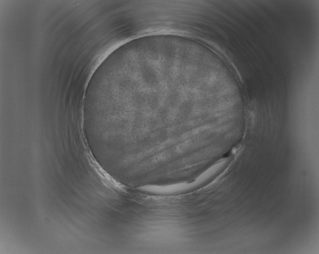 X0000076341244200610201722