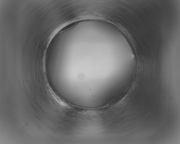 X0000076341246200610201722