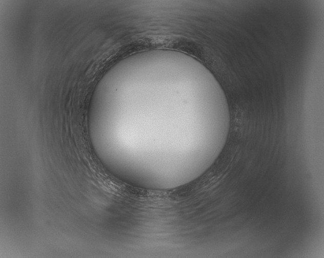 X0000076341249200610201722