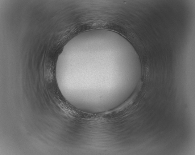 X0000076341250200610201722