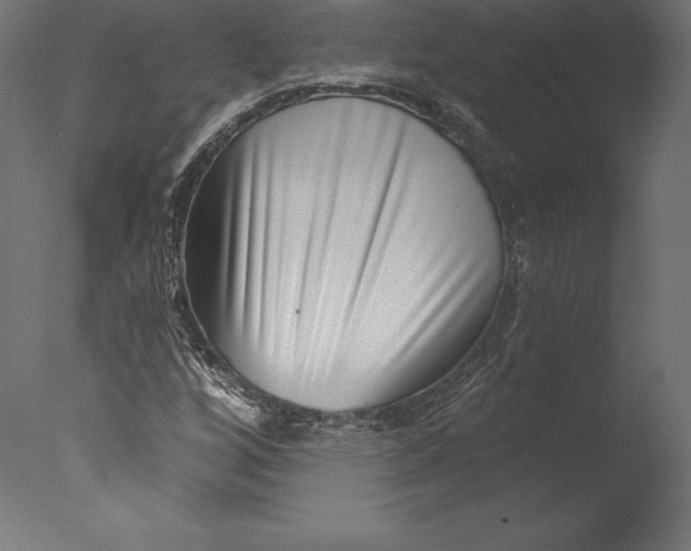 X0000076341256200610201721