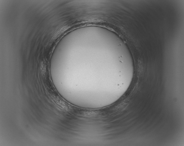 X0000076341257200610201721