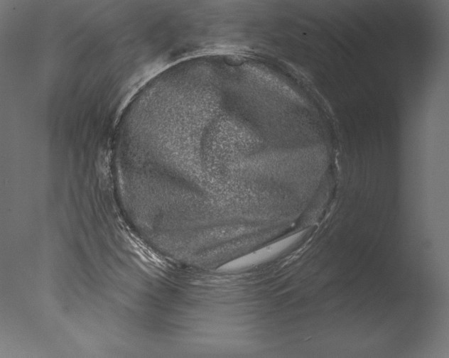 X0000076341260200610201721