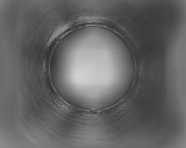 X0000076341261200610201721