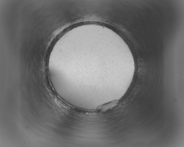 X0000076341264200610201721