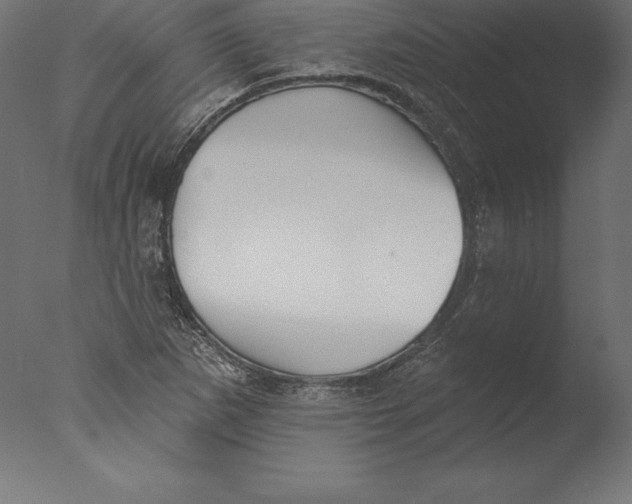 X0000076341265200610201721