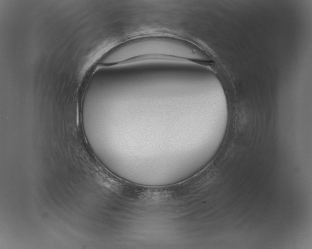 X0000076341269200610201721