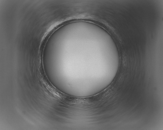 X0000076341270200610201721