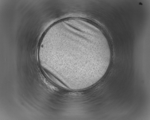 X0000076341272200610201721
