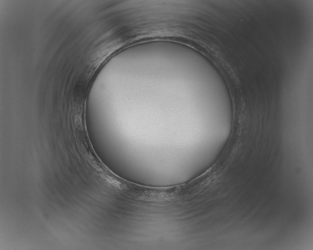 X0000076341273200610201721