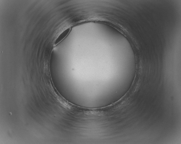 X0000076341281200610201721