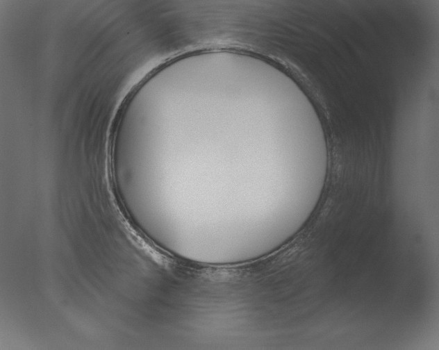 X0000076341286200610201721