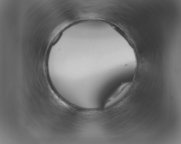 X0000076341293200610201721