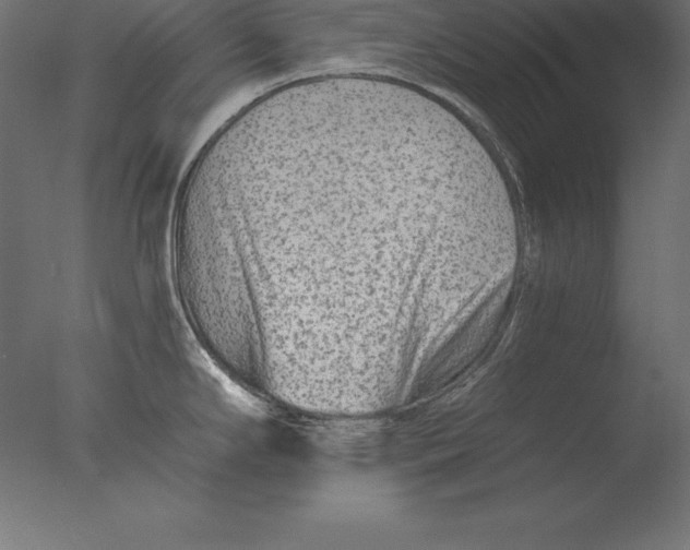X0000076341294200610201721