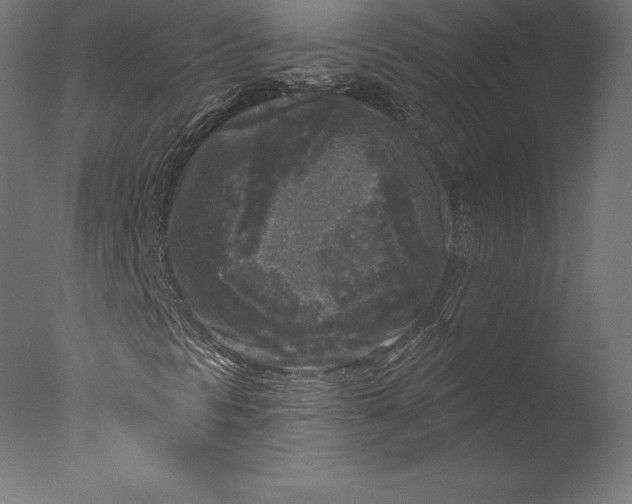 X0000076341297200610201720