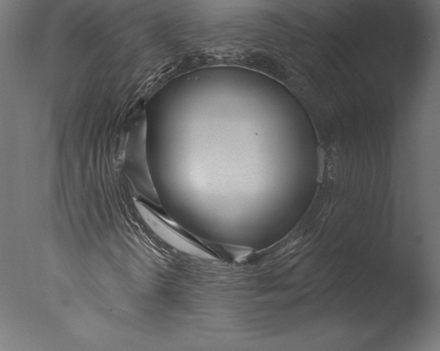 X0000076341298200610201720