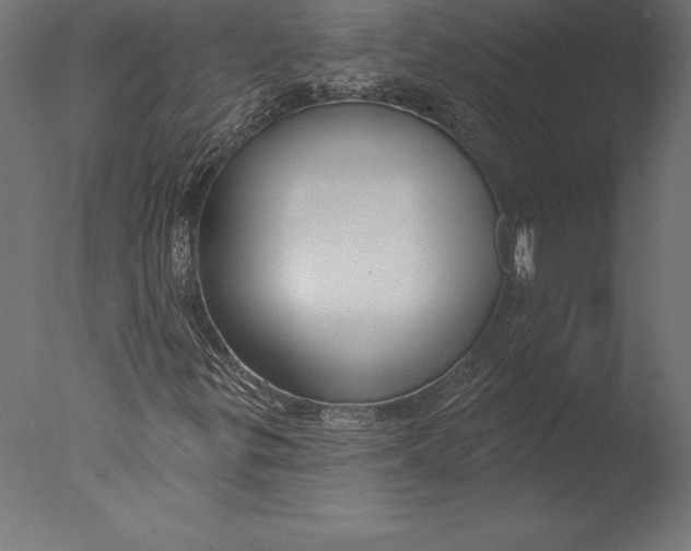 X0000076341299200610201720