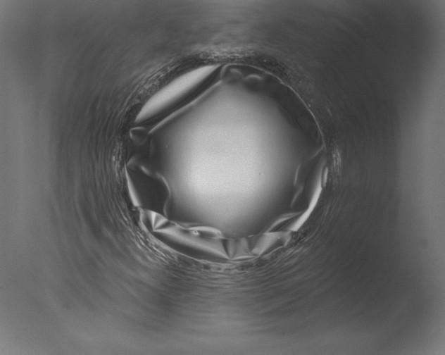X0000076341300200610201720