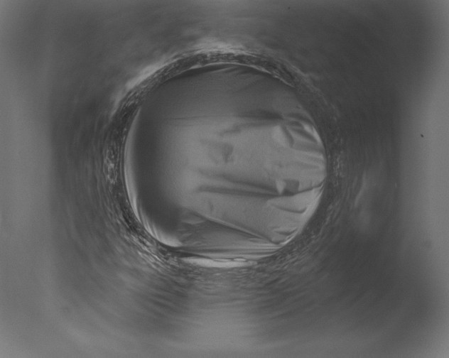 X0000076341303200610201720