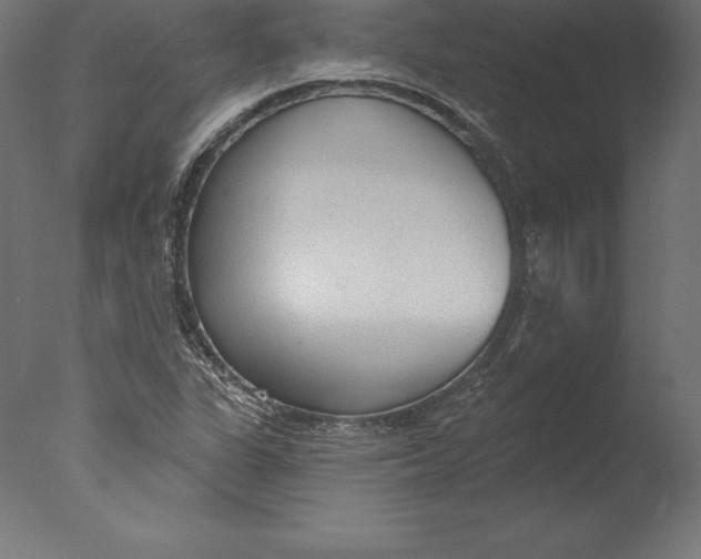 X0000076341311200610201720