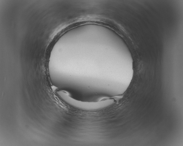 X0000076341312200610201720