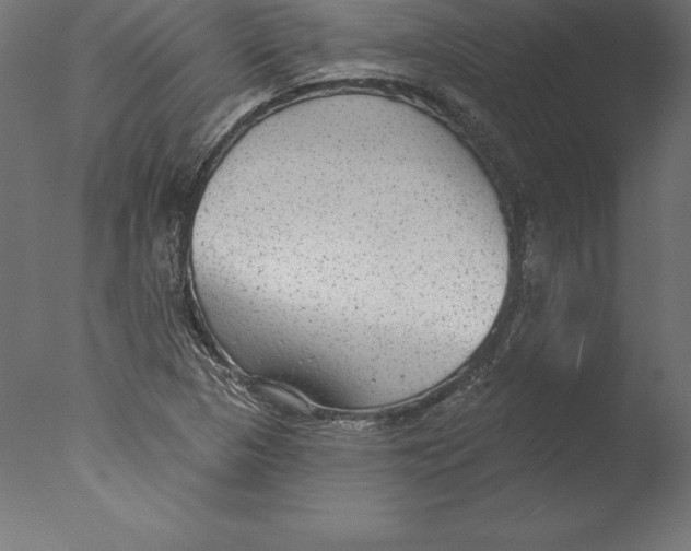 X0000076341313200610201720