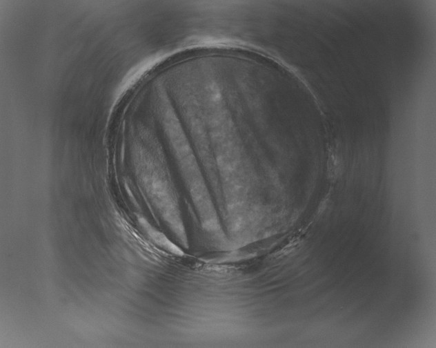 X0000076341319200610201720