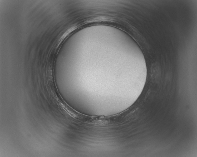 X0000076341321200610201720