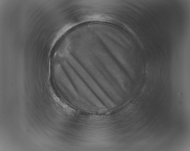 X0000076341323200610201720