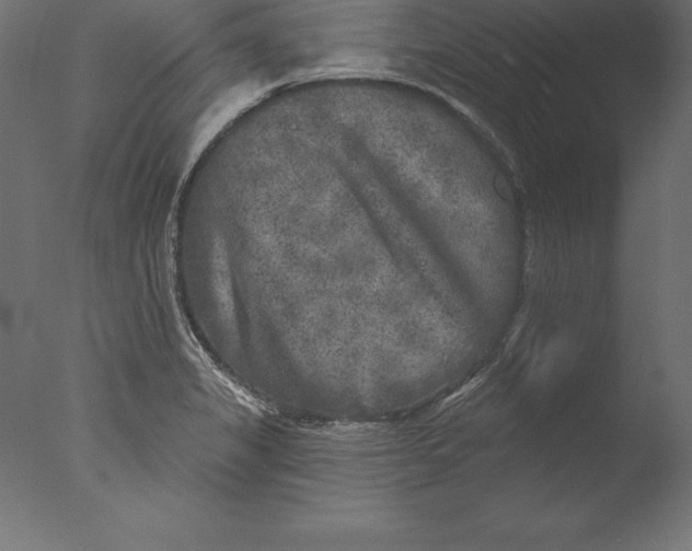 X0000076341325200610201720