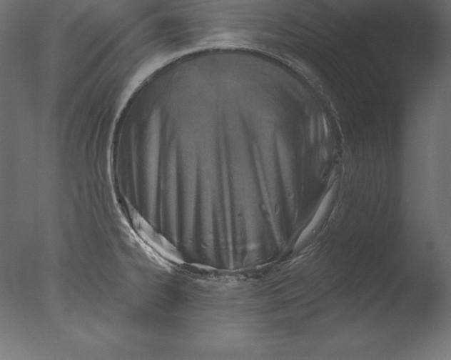 X0000076341334200610201721